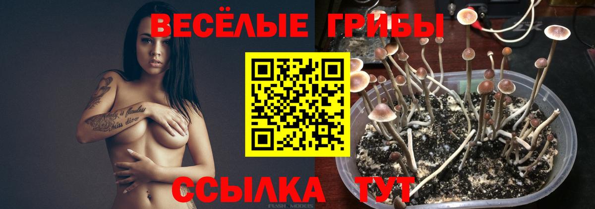 Псилоцибиновые грибы MAGIC MUSHROOMS Семёнов